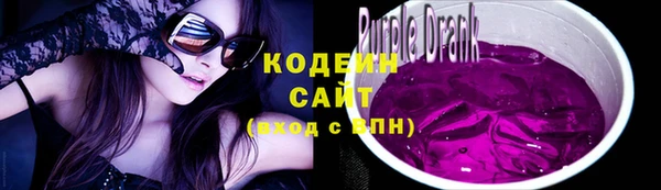 хмурый Арсеньев