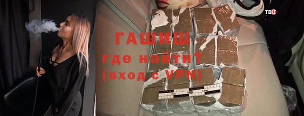 хмурый Арсеньев