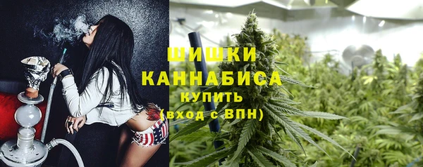гидра Армянск