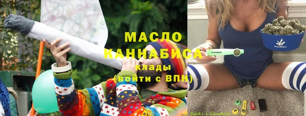 хмурый Арсеньев