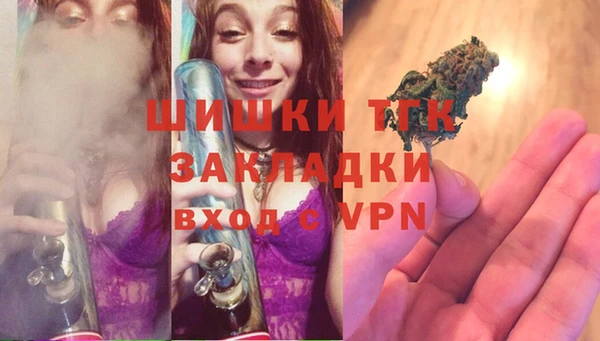 гидра Армянск