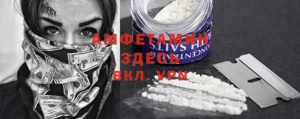 хмурый Арсеньев