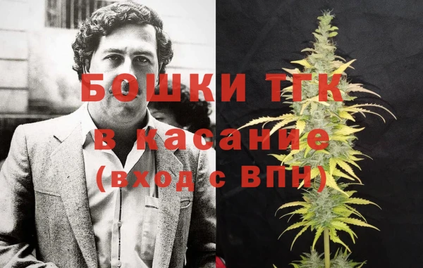 хмурый Арсеньев